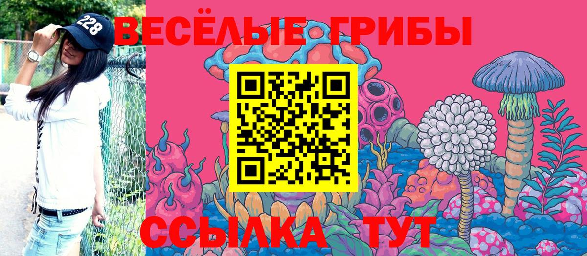 Галлюциногенные грибы прущие грибы Энгельс